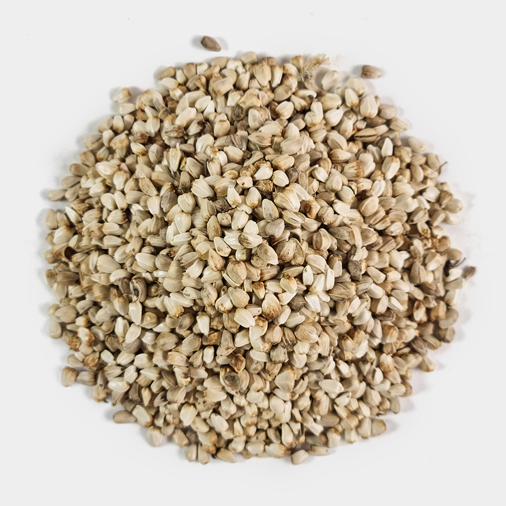 중국산 홍화씨 홍아씨 500g - 상세 이미지 3
