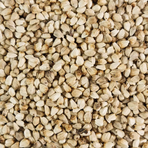 국내산 홍화씨 홍아씨 500g 맛있게 먹은 솔직 후기 - 상품 이미지 4