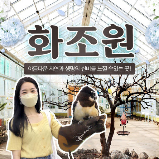 제주 화조원 이미지