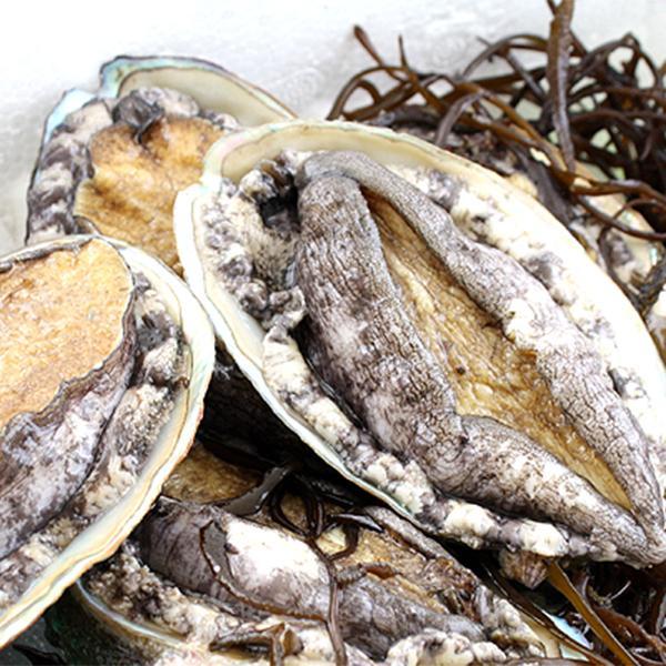 윤정이네 참전복1kg(13미) : 피쉬세일