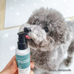 정글몬스터 냥치멍치 반려동물 닭고기맛 치약 70g, 1개 솔직 후기 | 실제 사용자 리뷰 총정리 - 상품 이미지 2