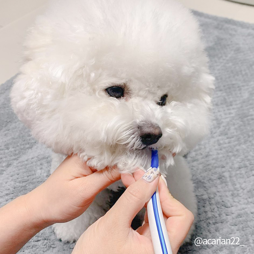 정글몬스터 덴티소프트 칫솔 M 1개입, 3개