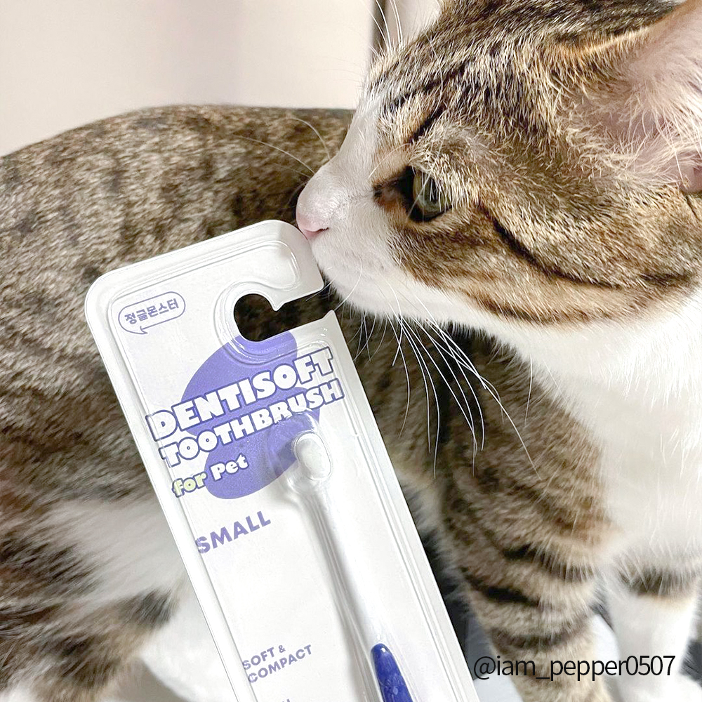 정글몬스터 덴티포인트 칫솔 P 1개입, 3개