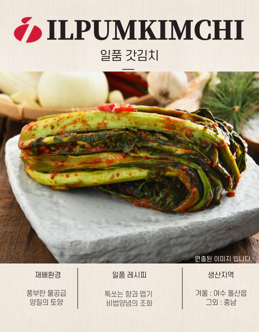 일품 갓김치 1kg 국내산 100% 농산물 - 상세 이미지 2