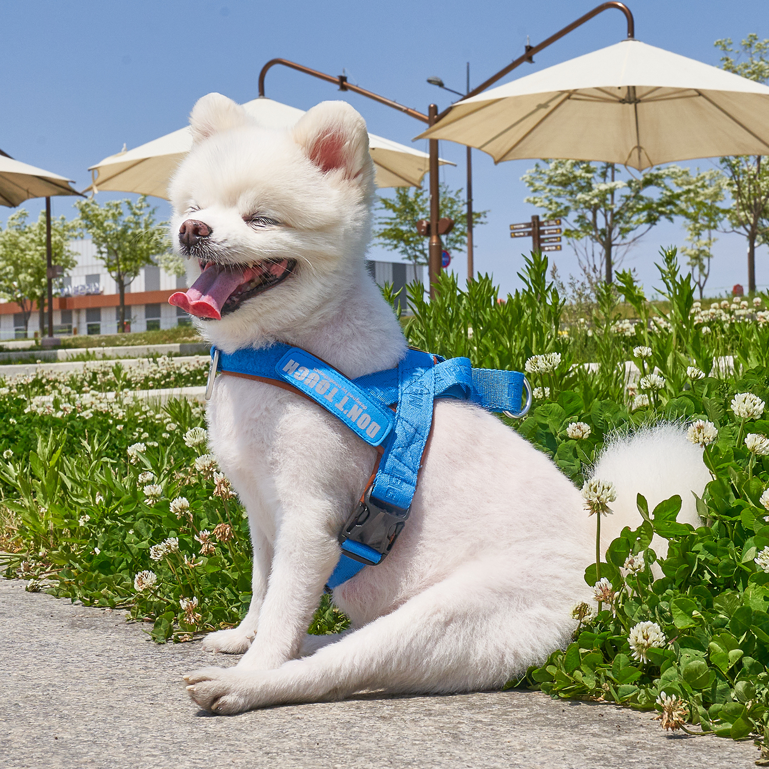 인터라켄 티라인 강아지 하네스 소형견 대형견 앞섬방지 XXS