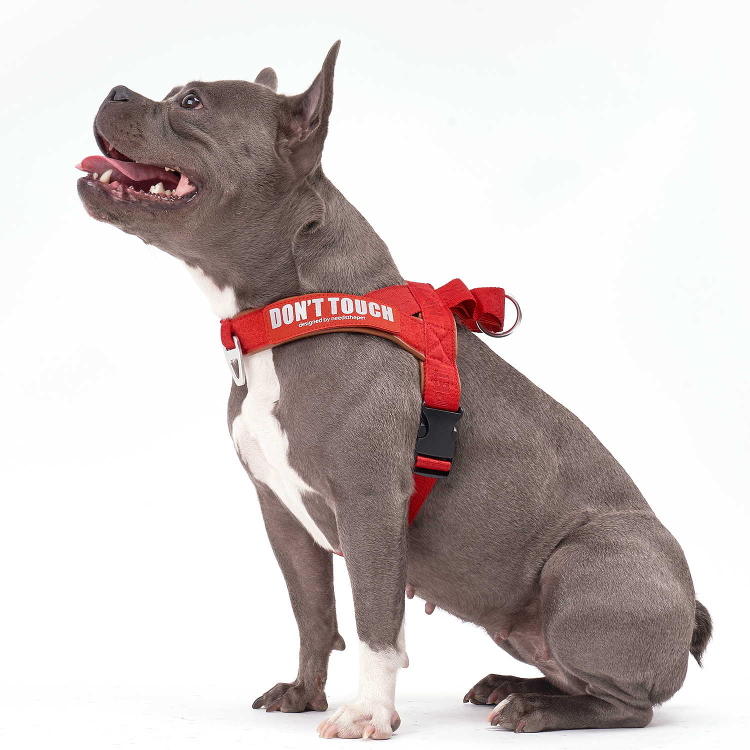 인터라켄 티라인 강아지 하네스 소형견 대형견 앞섬방지 XXS