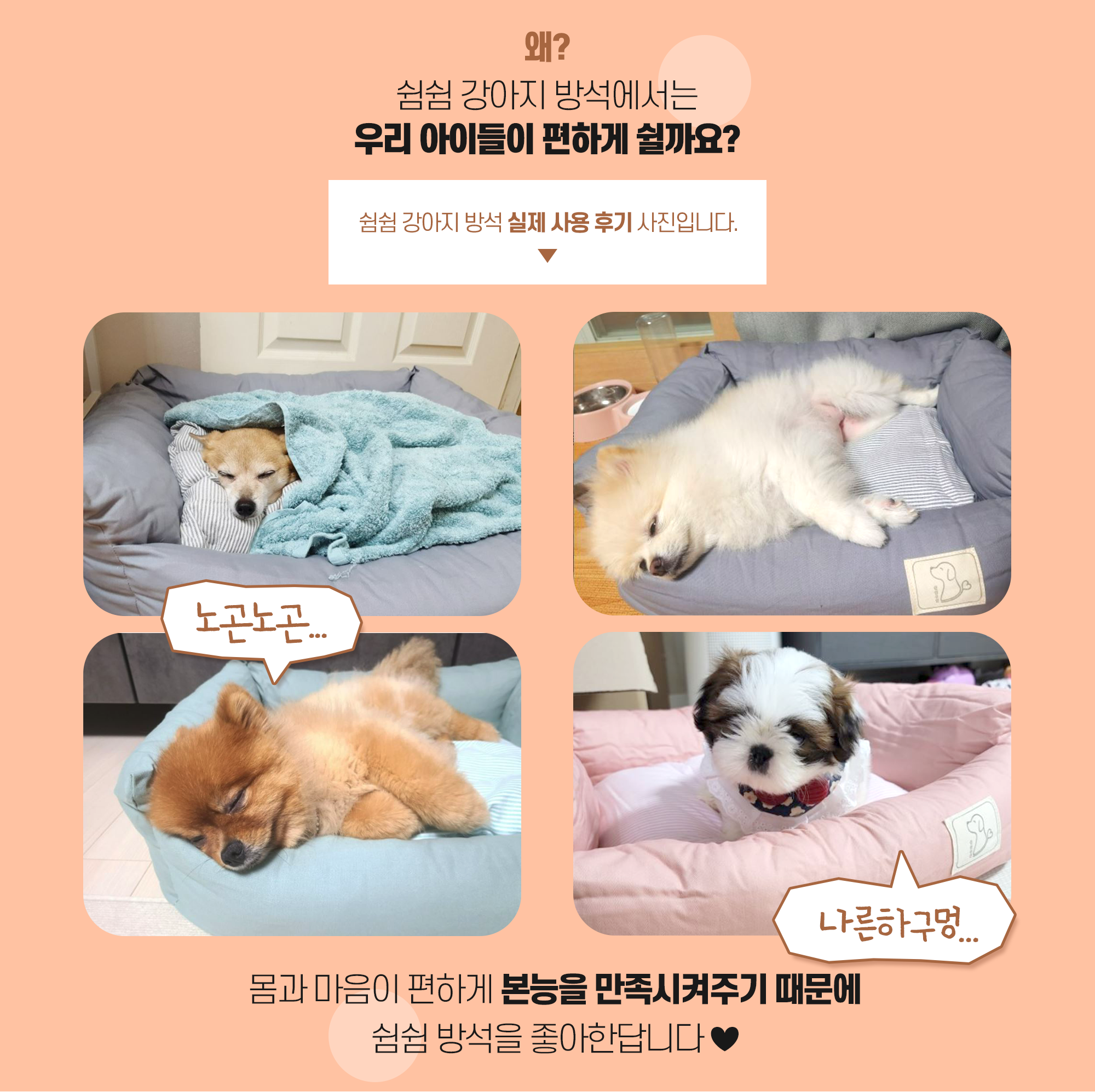 2026 쉼쉼 강아지 방석 쿠션 애견 마약 반려견 꿀잠 개 본능 무중력 중형견 방석 S - 상세 이미지 2