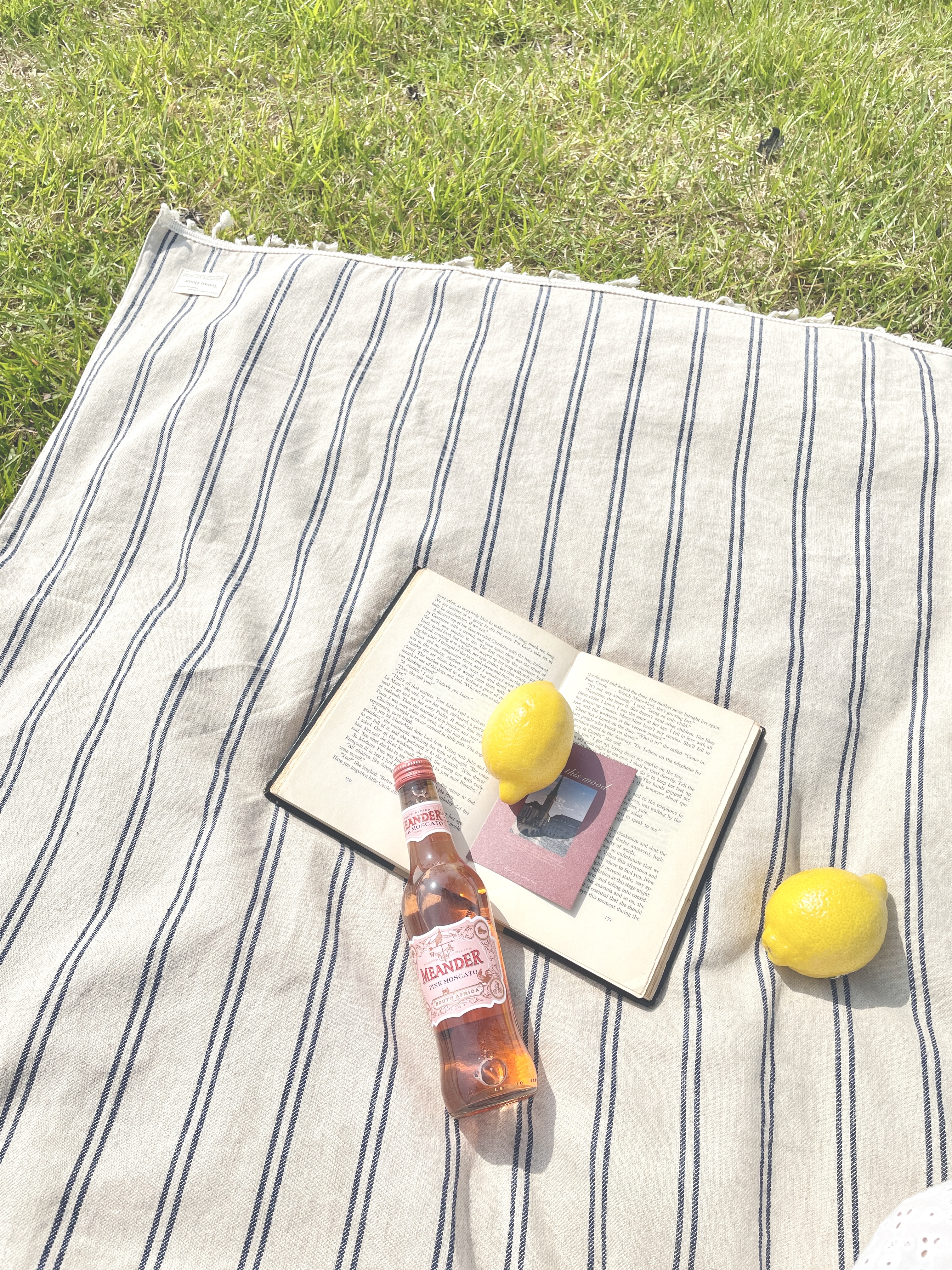 데조로 포르멘테라 피크닉매트 방수돗자리 스트라이프 린넨 캠핑용품