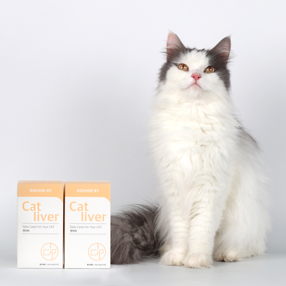 닥터바이 캣 리버 고양이 간 항산화 영양제 30개입, 1개 - 상세 이미지 2