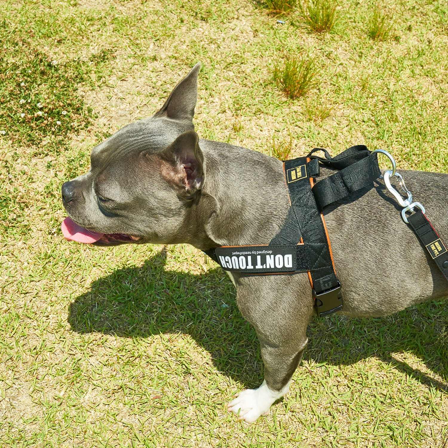 인터라켄 티라인 강아지 하네스 소형견 대형견 앞섬방지 XXS