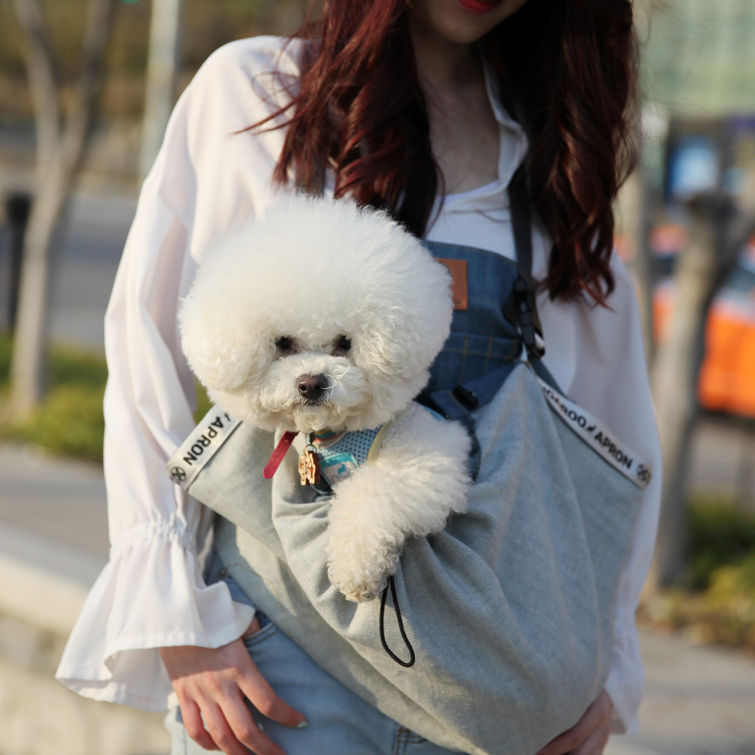 캔루 멀티플 캥거루 앞치마 노견케어 펫캐리어 강아지 애견 산책 포대기 소형견 슬링백 - 상세 이미지 2