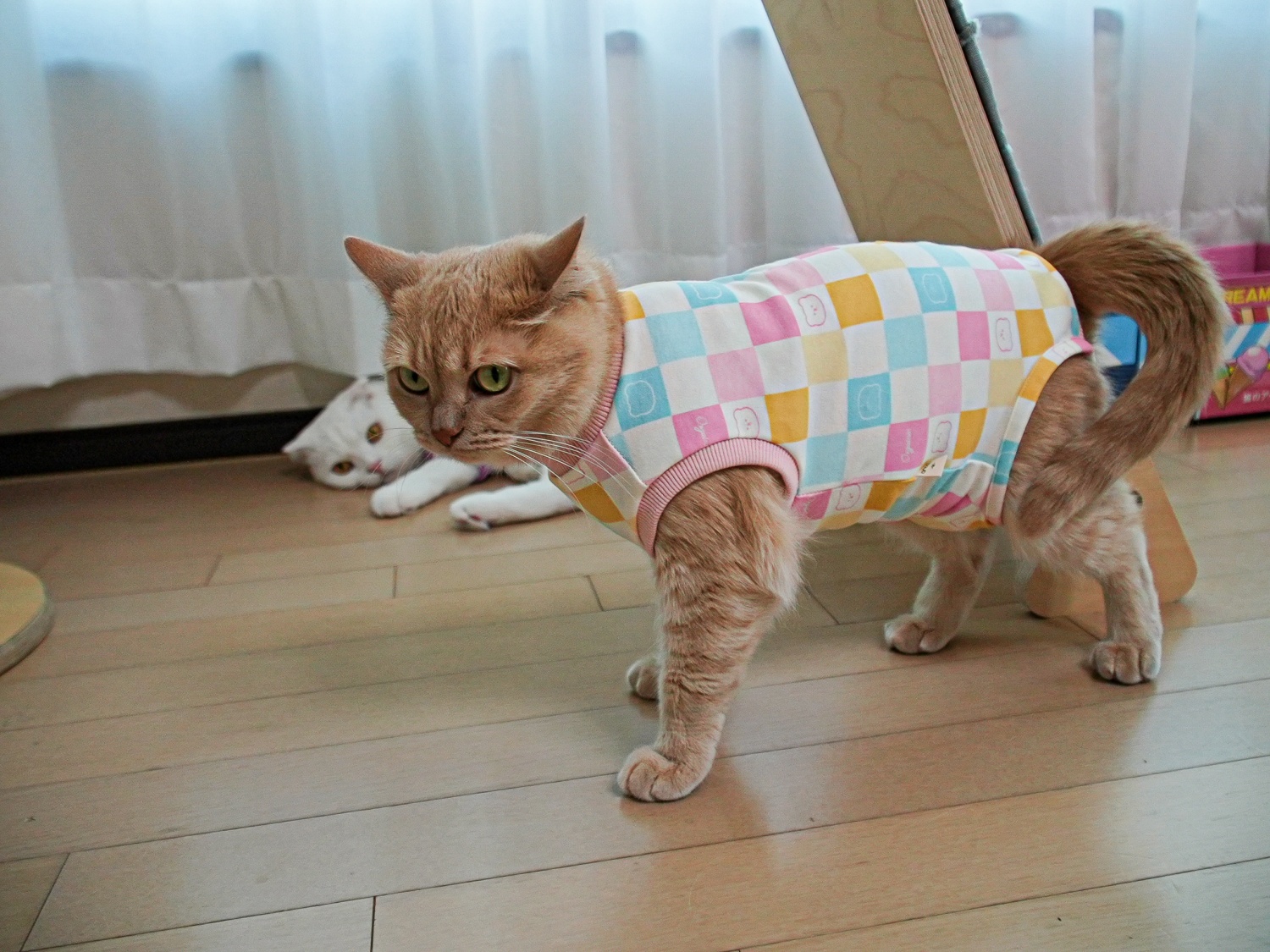 고양이옷 환묘복 오가닉코튼 오버그루밍방지 중성화옷 핑크 도트