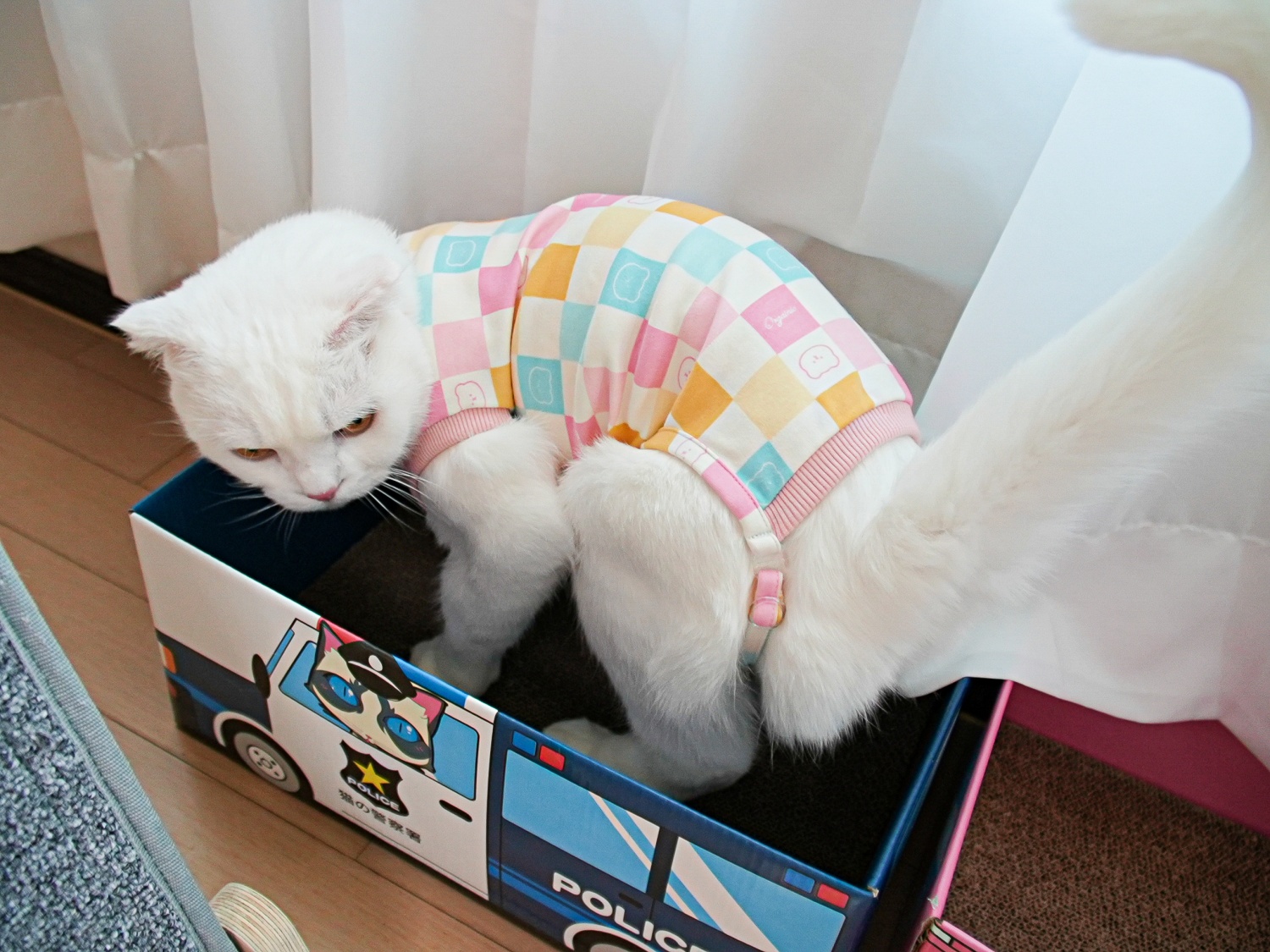 고양이옷 환묘복 오가닉코튼 오버그루밍방지 중성화옷 핑크 도트