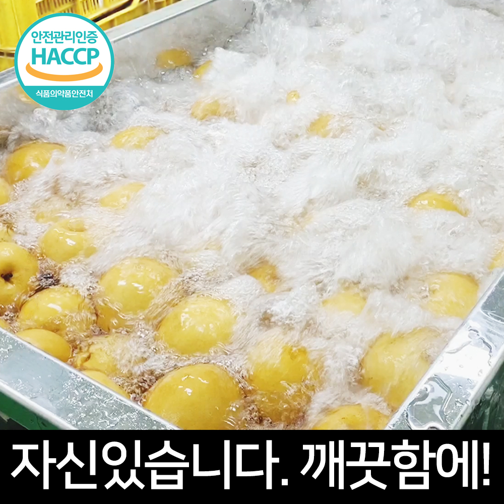 힘가네 도라지배즙 1박스(80ml x 40개입) 이미지 2