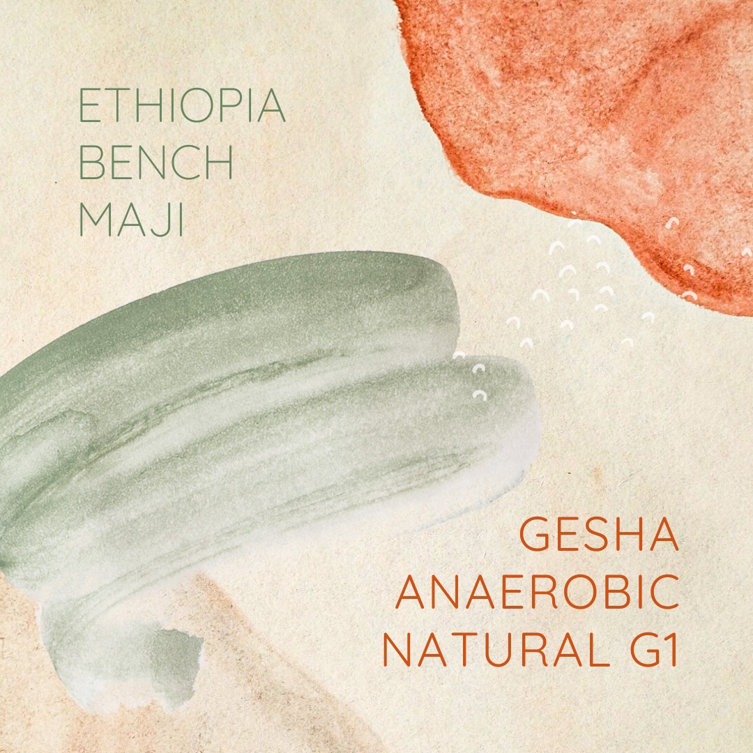 에티오피아 벤치 마지 게샤 애너로빅 내추럴 G1 5KG (BENCH MAJI GESHA ANAEROBIC NATURAL G1)