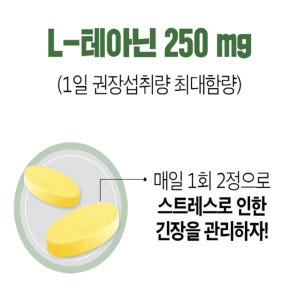 테아닌 여성 영양제 스트레스 긴장완화 맛있게 먹은 솔직 후기 - 상품 이미지 3