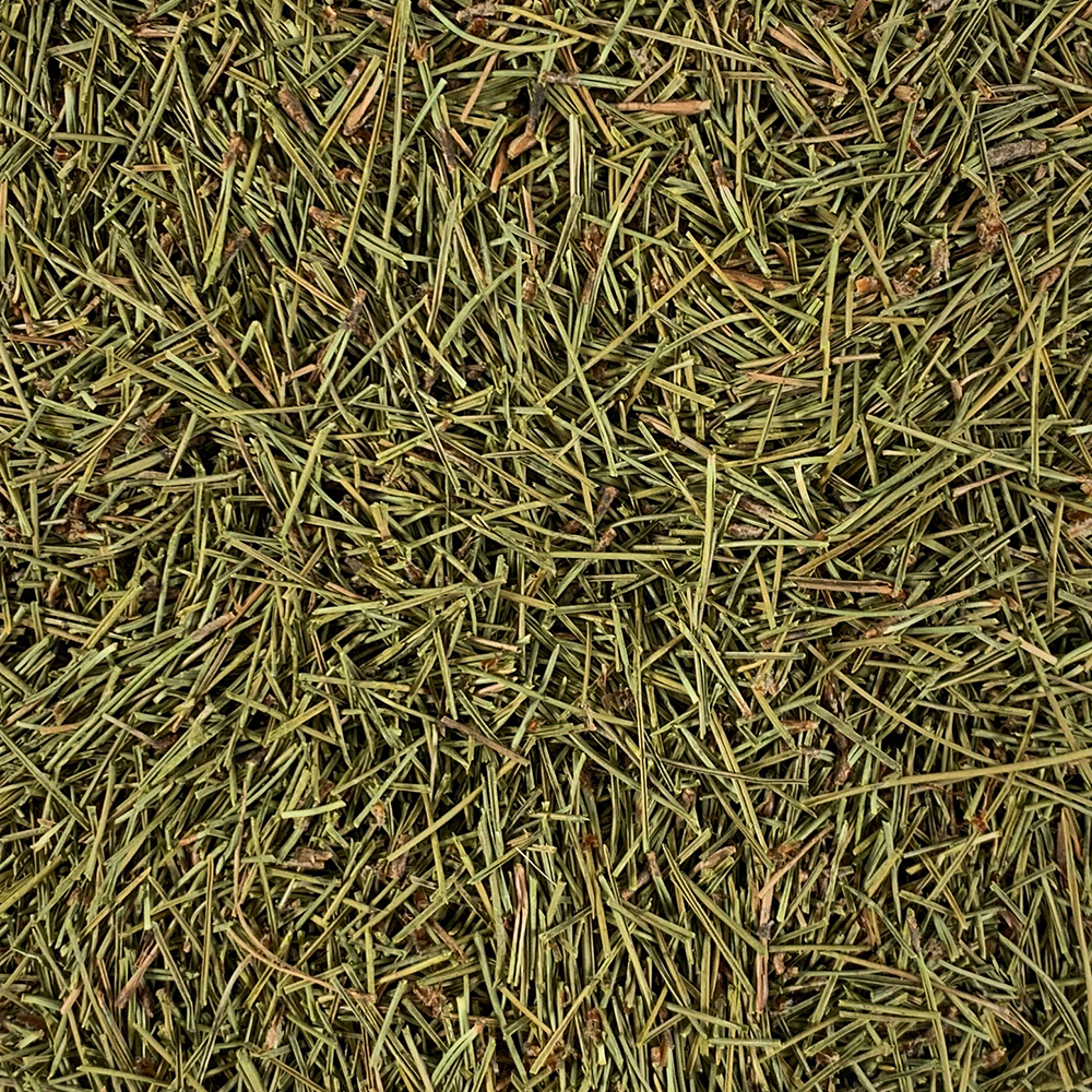 국산 마른 솔잎 250g 솔잎주 만들기 - 상세 이미지 4