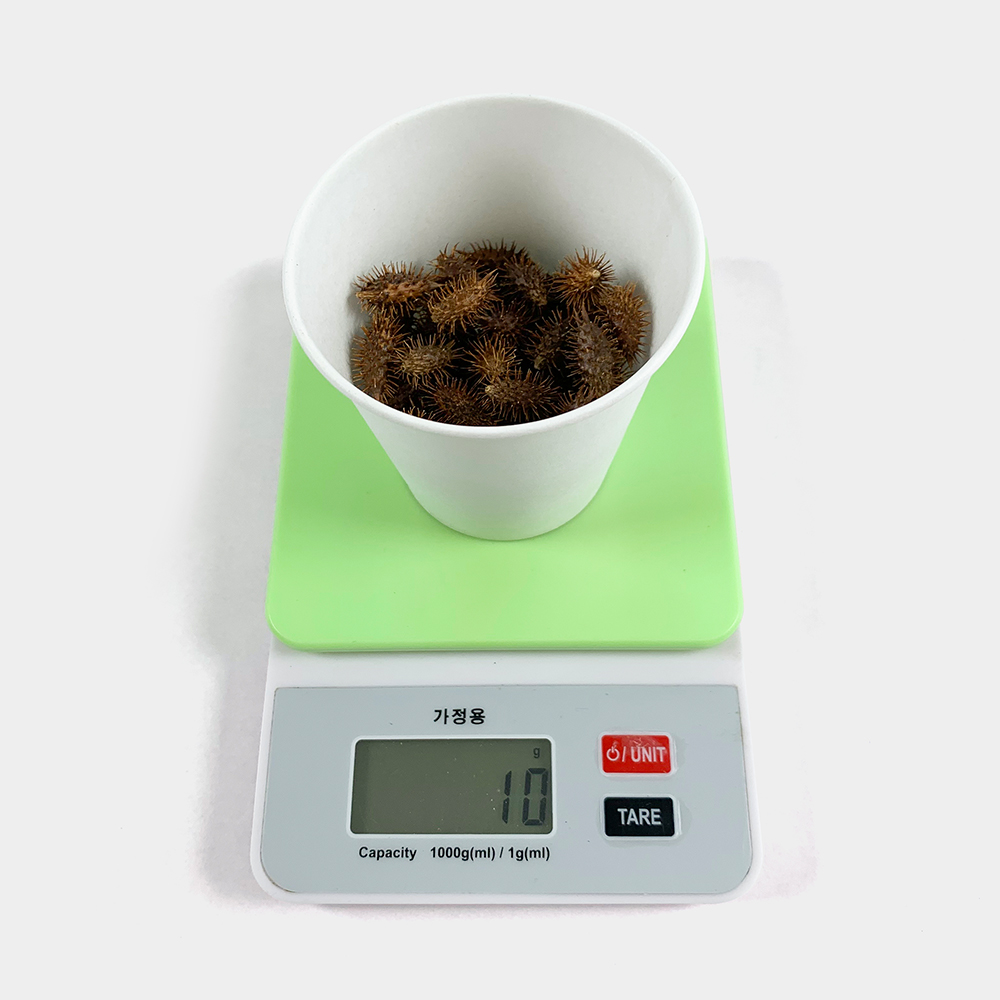 국산 도꼬마리 독고마리 도꾸마리 창이자 열매 250g - 상세 이미지 5