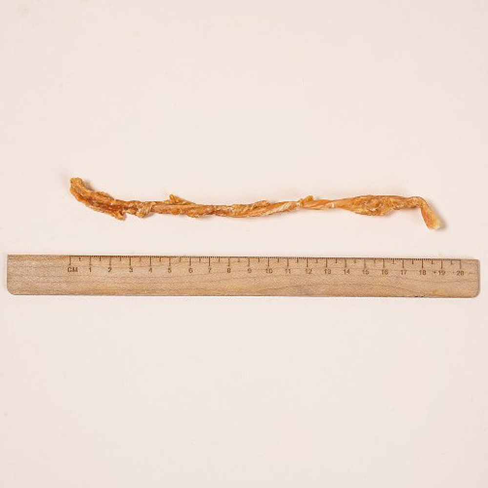 츄통령 멍츄 힘줄 스틱 대용량 강아지 터키츄 오래먹는 소형견 껌 칠면조, 100g, 2개 - 상세 이미지 2