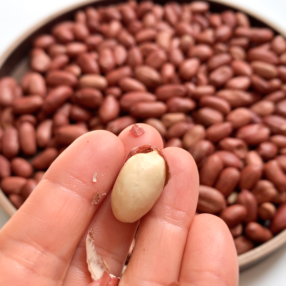 매일 아침 볶음 땅콩 400g, 1개