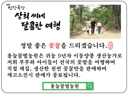 인간극장 꿀 1+등급 프리미엄 아카시아꿀 2.4kg 천연 벌꿀 이미지 3