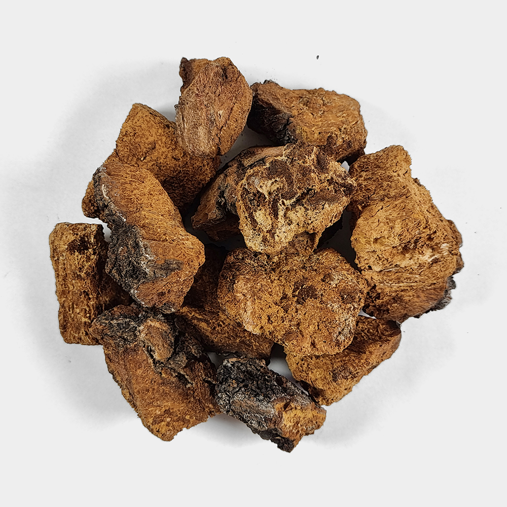 러시아차가버섯 차가버섯 1kg - 상세 이미지 3