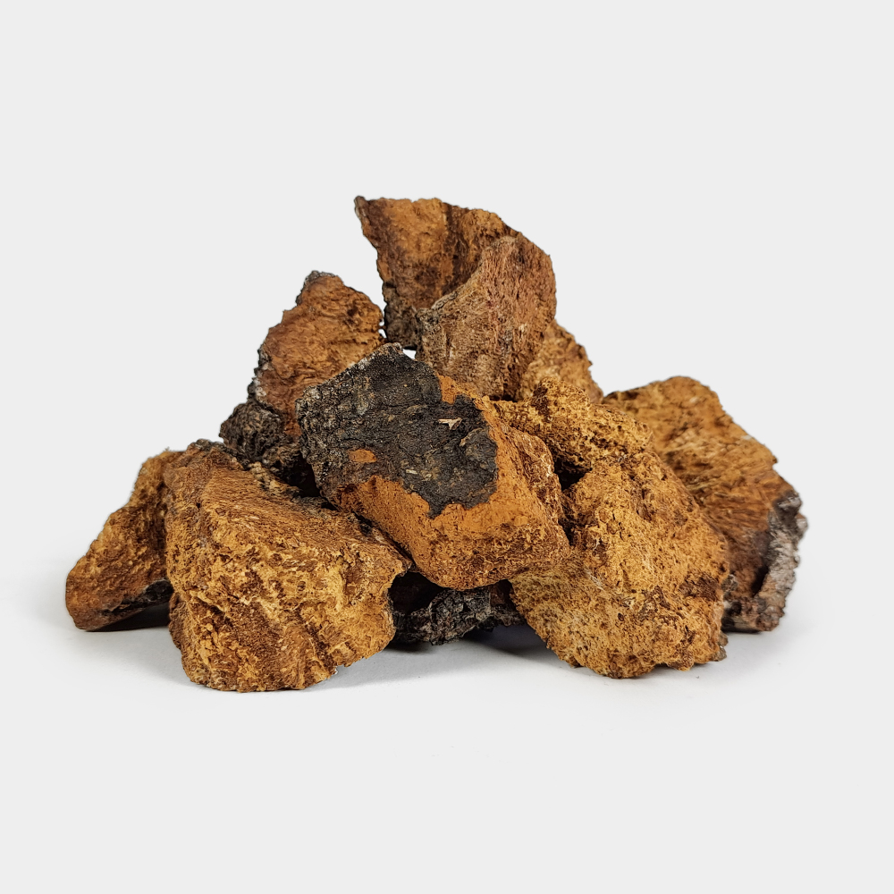러시아차가버섯 차가버섯 1kg - 상세 이미지 2