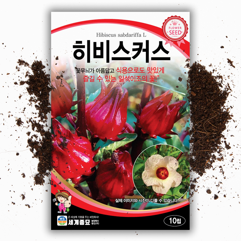 로젤Roselle 씨앗 10립 히비스커스 - 상품 이미지