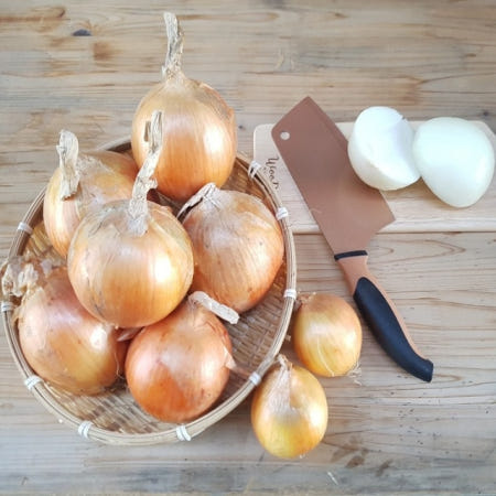 26년 햇양파 3kg 5kg 고품질 양파