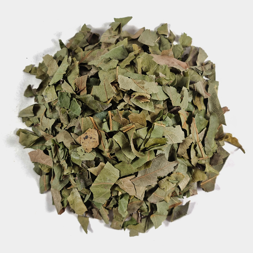 국산 감잎 감잎차 250g - 상세 이미지 3