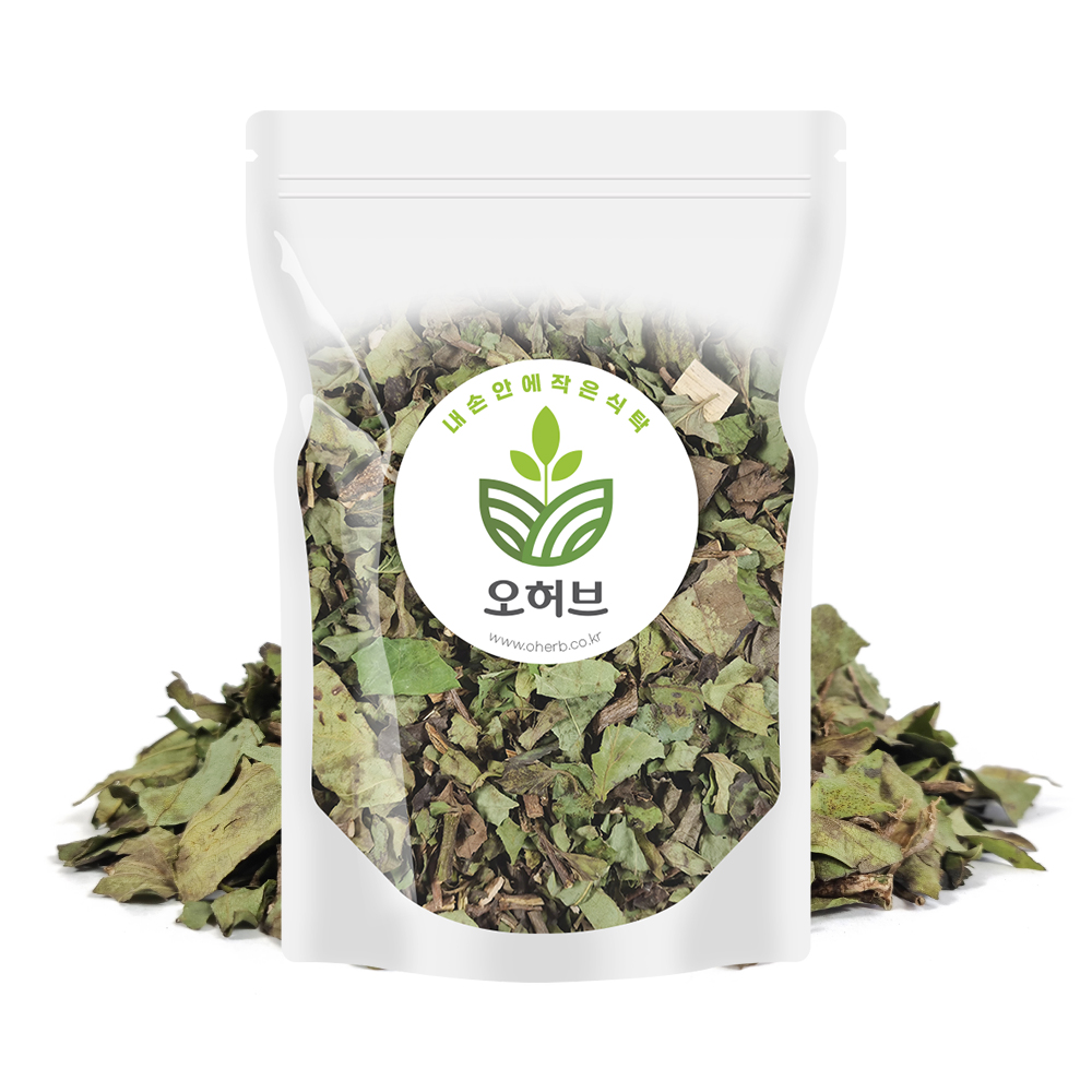 국산 꾸지뽕잎 구지뽕잎 구찌뽕잎 500g