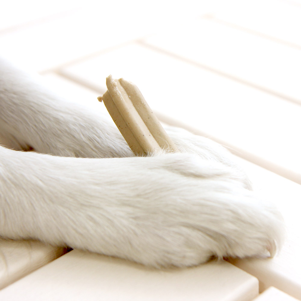 (유통기한임박 26.8.20) 더독 덴탈카리에스 강아지껌 80g x 5p 이미지 3