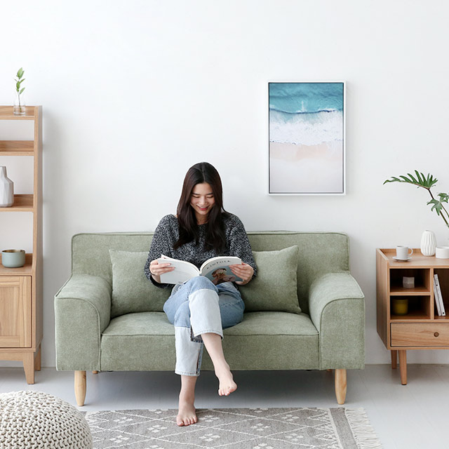 패브릭소파 2인용 쇼파 편한 푹신한 신혼부부 원룸 거실 좌식소파