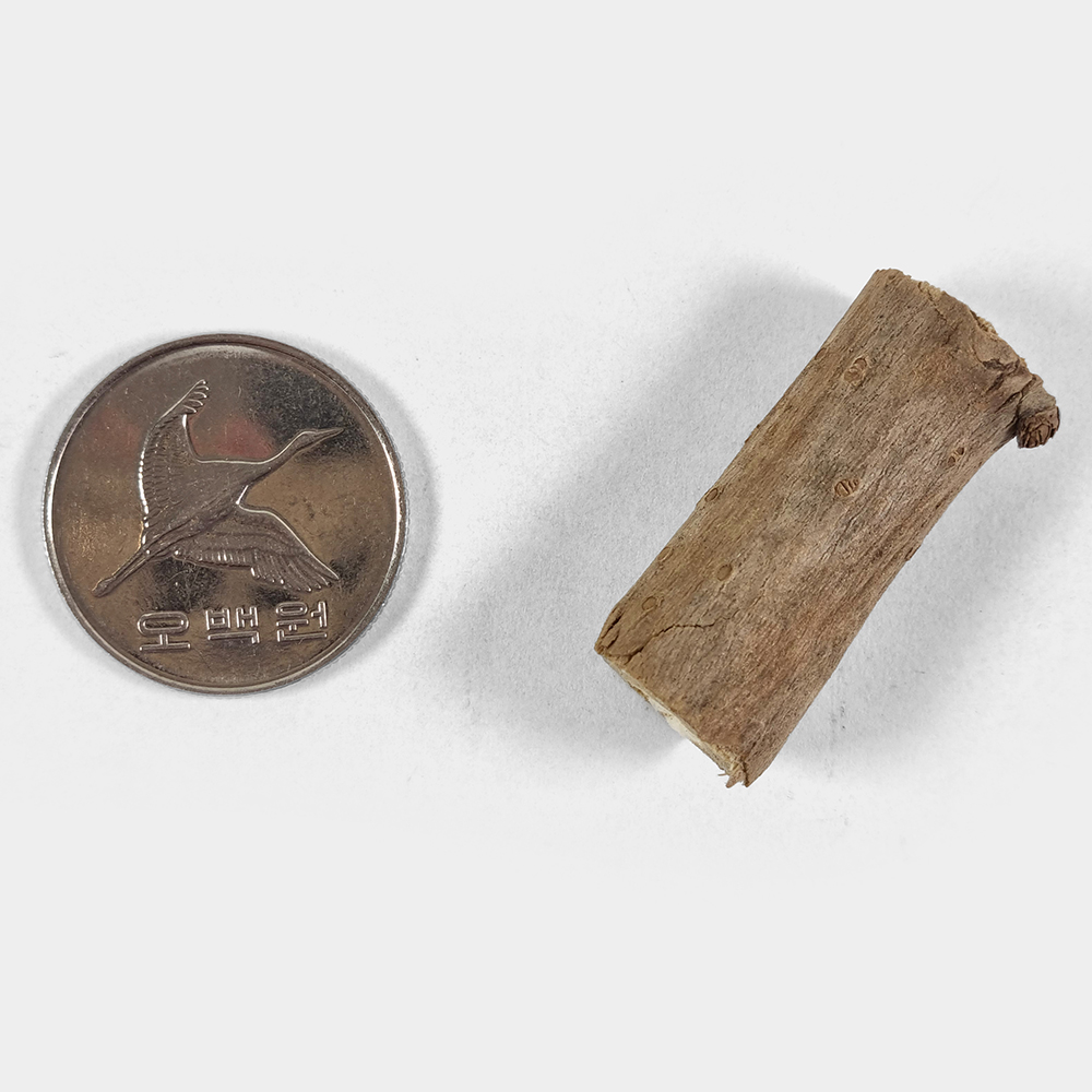 국산 오가피나무 오가목 250g 삼계탕 백숙 재료 - 상세 이미지 5