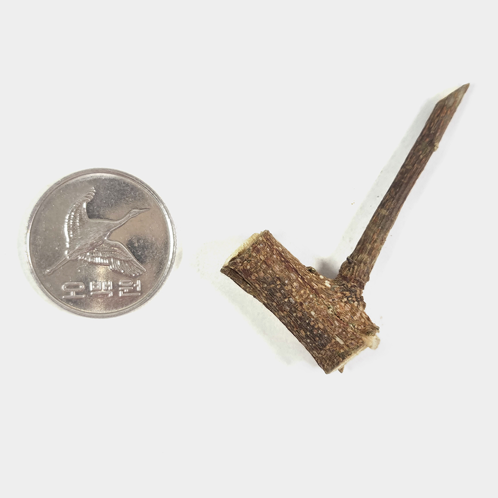 구찌뽕나무 꾸지뽕나무 구지뽕나무 250g - 상세 이미지 5