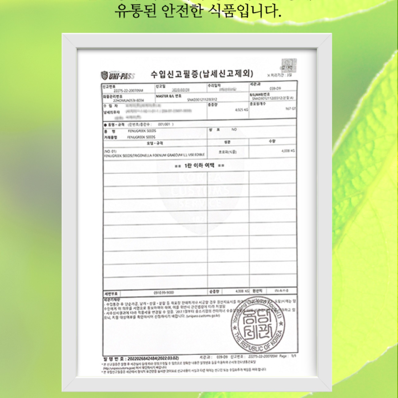 인도산 호로파씨 1kg 호로파추출물 호로파종자 효능 이미지 2