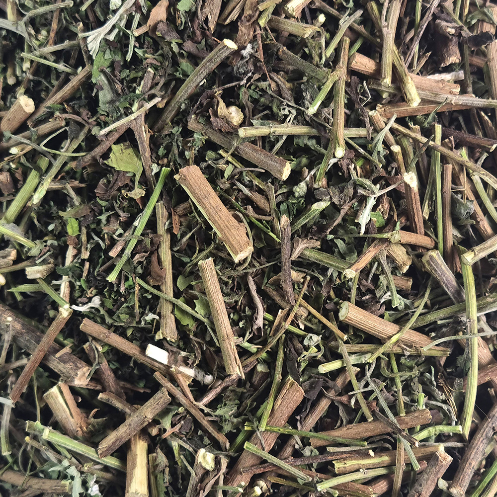 국산 건조 구절초 250g - 상세 이미지 4