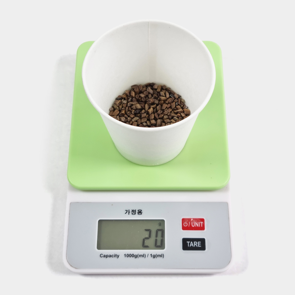 국산 결명자 결명차 500g 결명자차 - 상세 이미지 5