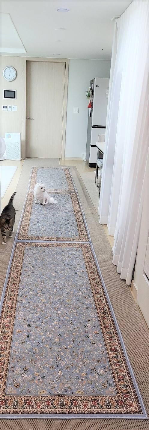 빈티지 카페트 페르시안 거실 사계절 러그 플로러 러그 홈앤러그