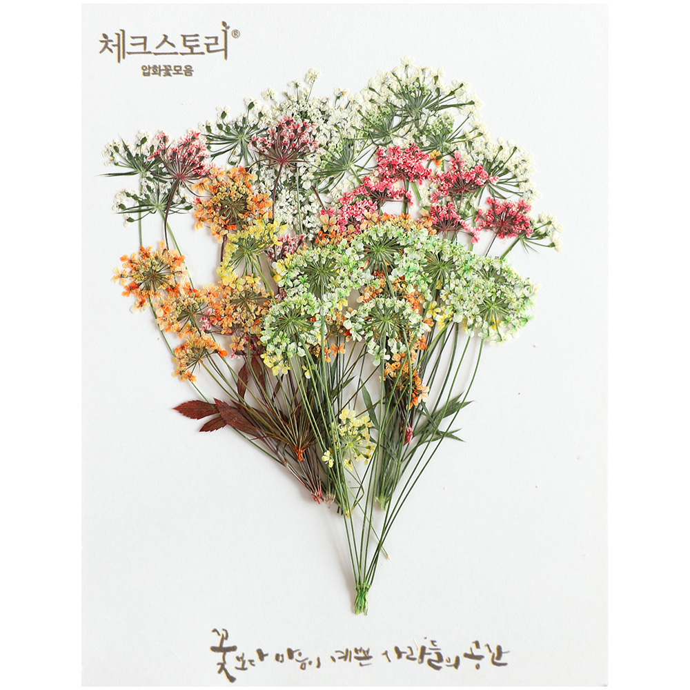 [압화/체크메이드] 레이스플라워 줄기꽃모음(8개)색상랜덤 - 상품 이미지