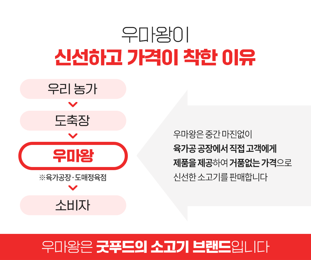 한우 스테이크 1++ 투뿔 안심 샤토브리앙 꽃등심 채끝 캠핑 바베큐 소고기 구이용