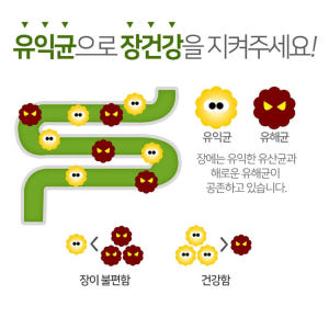 프로바이오틱스 유산균19 30포 장내세균 장건강 1개월분 맛있게 먹은 솔직 후기 - 상품 이미지 4