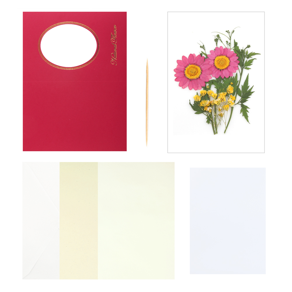 프레스코21 압화 카드 만들기세트 레드 마가렛 디자인 - 상품 이미지