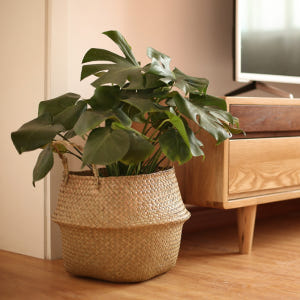 코드86 라탄 화분 커버 화분 가리개 대형 실사용 후기 | 효과 있을까? - 상품 이미지 4