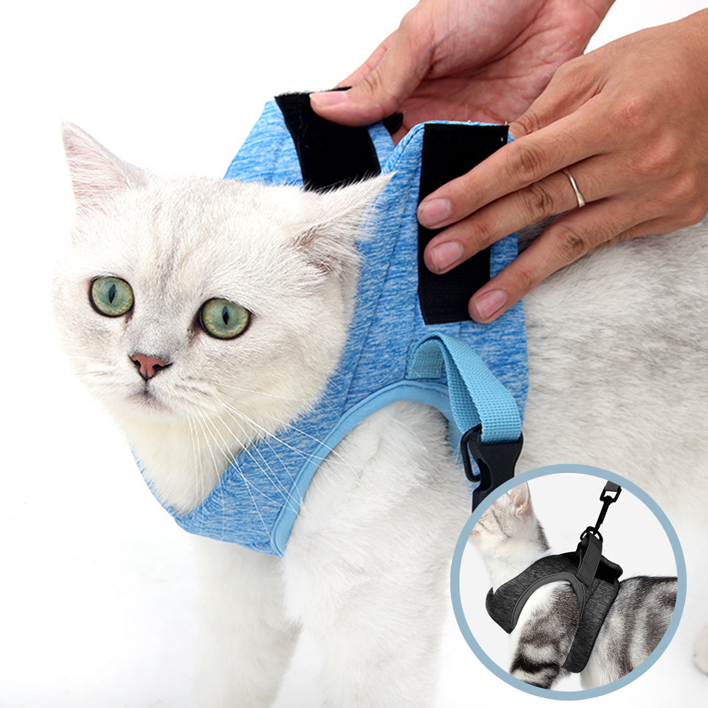 고양이하네스 가슴줄 리드줄 세트 고양이목줄 H형 조끼형 S