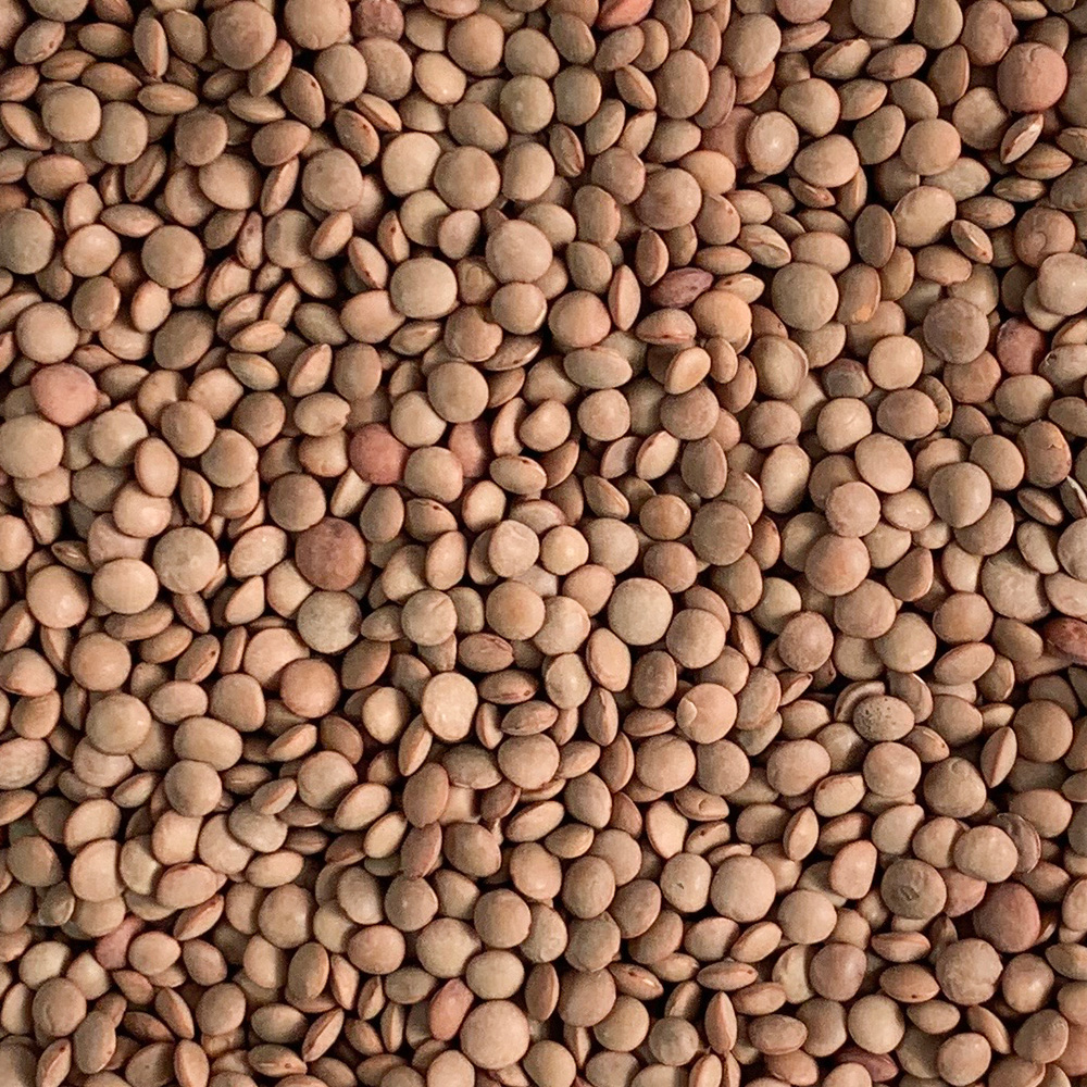 렌틸콩 렌즈콩 250g - 상세 이미지 2