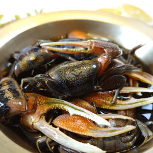 농게장 1kg 뻘농게 농개 간장게장 빨간발게장 능쟁이젓 맛있게 먹은 솔직 후기 - 상품 이미지 3