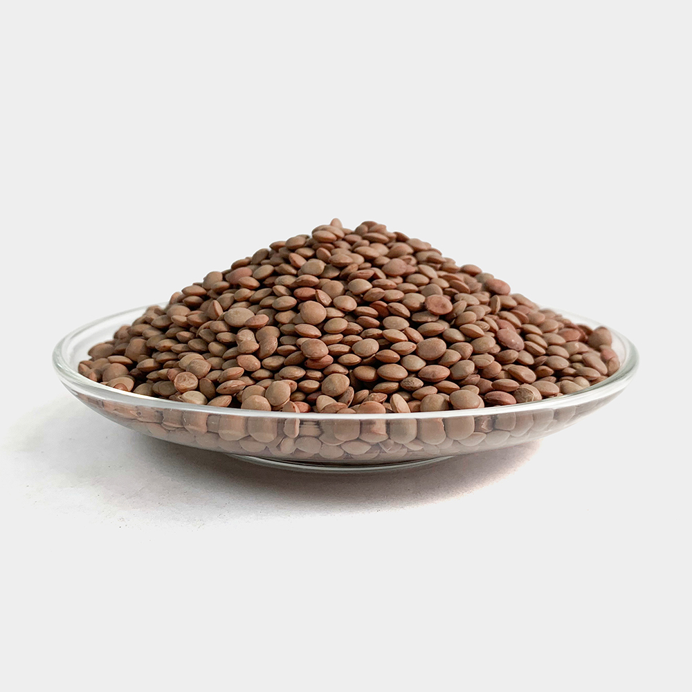 브라운 갈색 렌틸콩 렌즈콩 250g - 상세 이미지 2