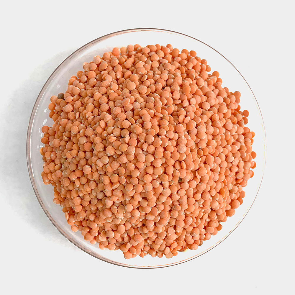레드 렌틸콩 렌즈콩 250g - 상세 이미지 3