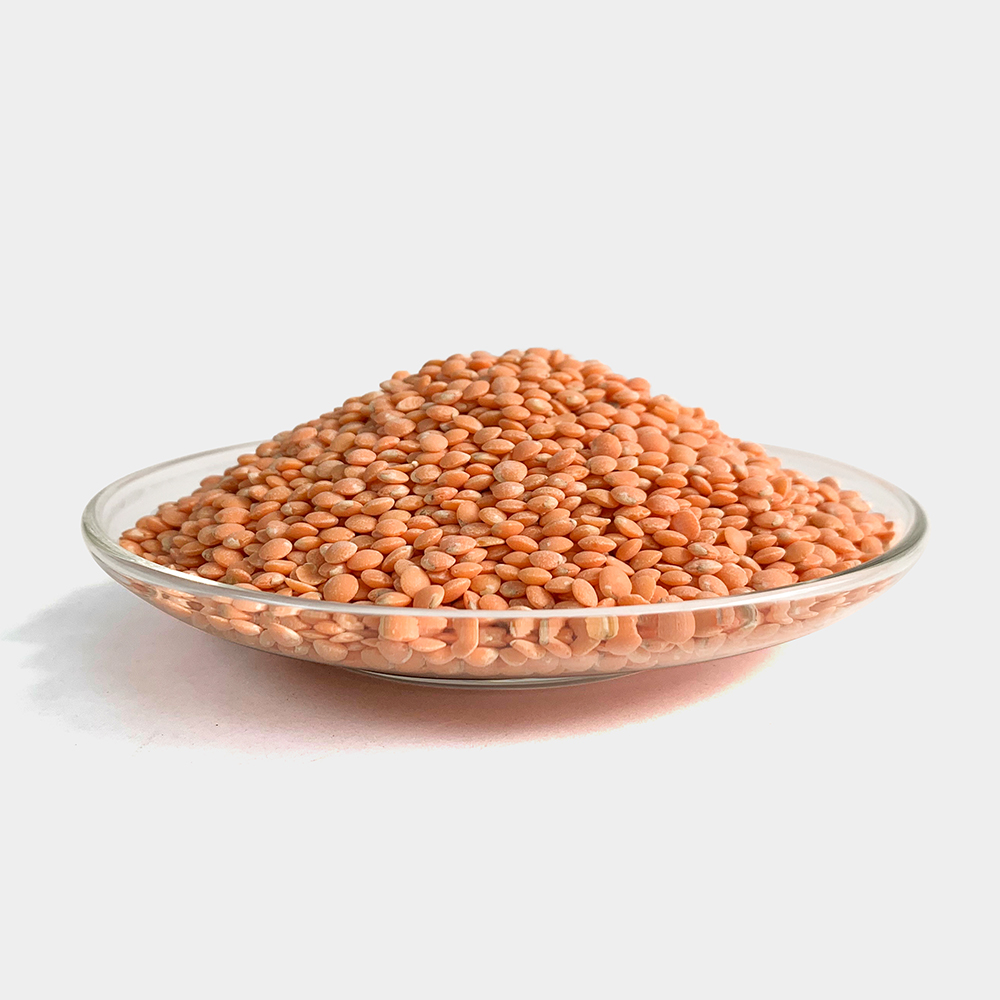 레드 렌틸콩 렌즈콩 250g - 상세 이미지 2